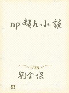 np超h小说