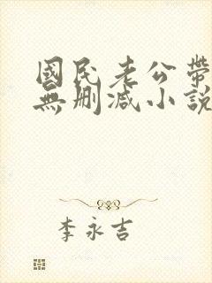 国民老公带回家无删减小说