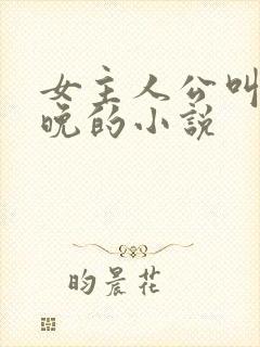 女主人公叫沈星晚的小说