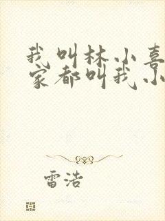 我叫林小喜 大家都叫我小喜小说