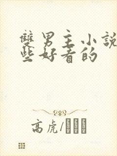 双男主小说有哪些好看的