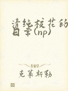 清纯校花的被肉日常(np)