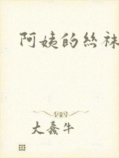 阿姨的丝袜小说