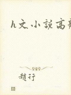 h文小说高辣文