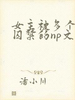 女主被多个男主囚禁的np文封面