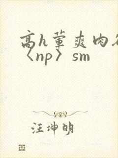 高h荤爽肉欲文〈np〉sm