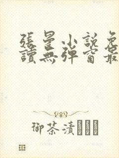 张曼小说免费阅读无弹窗最新章节