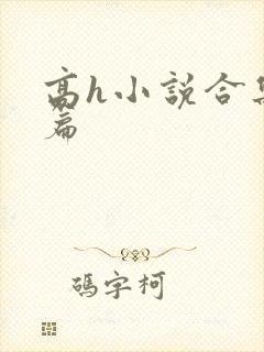 高h小说合集短篇