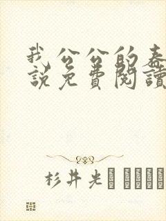 我公公的春天小说免费阅读封面