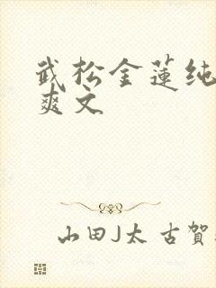 武松金莲纯肉h爽文