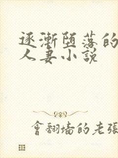 逐渐堕落的绝美人妻小说
