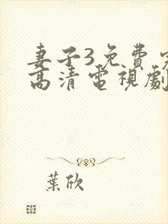 妻子3免费完整高清电视剧在线观看,