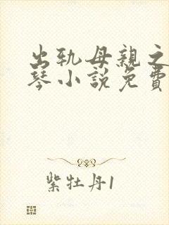 出轨母亲之沈绣琴小说免费阅读