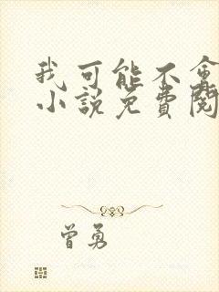 我可能不会爱你小说免费阅读封面