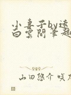 小妻子by远上白云间笔趣阁无弹窗封面