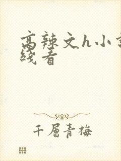 高辣文h小说在线看封面