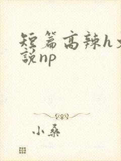短篇高辣h文小说np