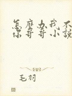 怎么办我不想当你哥哥小说