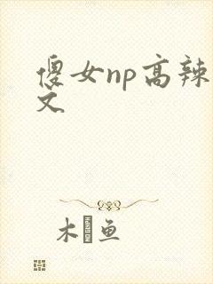 傻女np高辣h文