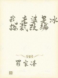 我老婆是冰山女总裁改编