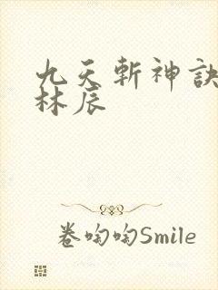 九天斩神诀免费林辰