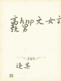 高hnp文女调教男