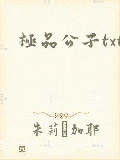 极品公子txt