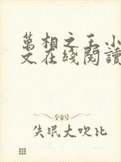 万相之王小说全文在线阅读封面