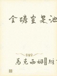 金磷岂是池中物封面