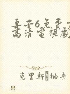 妻子6免费完整高清电视剧在线看