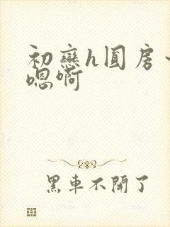 初恋h圆房～h嗯啊