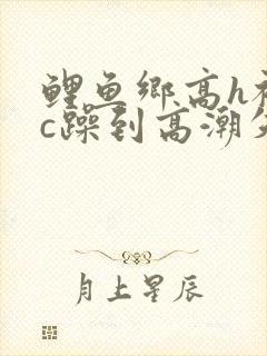 鲤鱼乡高h被狂c躁到高潮失禁小说