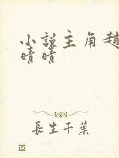 小说主角赵旭李晴晴封面