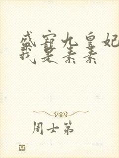 盛宠九皇妃作者我是素素封面