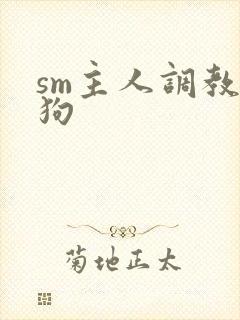 sm主人调教母狗封面