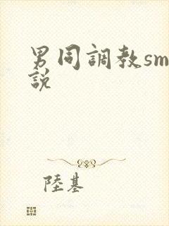 男同调教sm小说