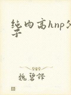 纯肉高hnp父子