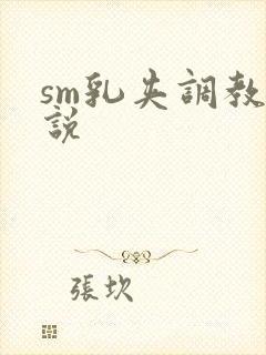 sm乳夹调教小说封面