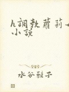 h调教萝莉母狗小说封面