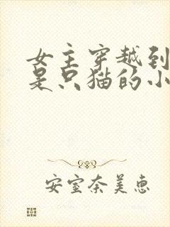 女主穿越到古代是只猫的小说