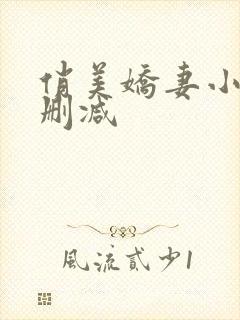 俏美娇妻小茹无删减