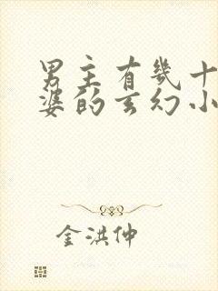 男主有几十个老婆的玄幻小说封面