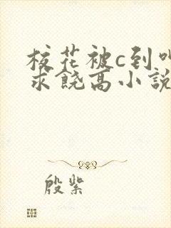 校花被c到呻吟求饶高小说