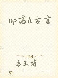 np高h古言