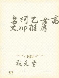 名柯乙女高辣h文np推荐