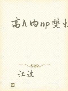 高h肉np双性