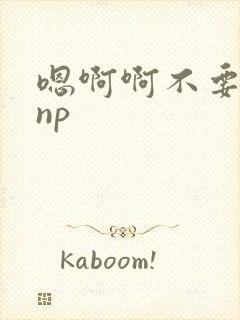 嗯啊啊不要高hnp