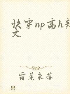 快穿np高h辣文