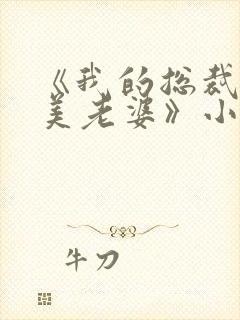 《我的总裁白富美老婆》小说