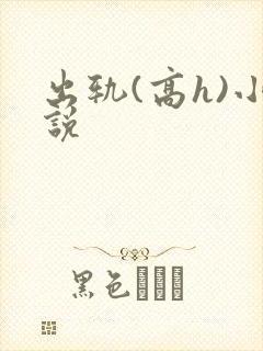 出轨(高h)小说